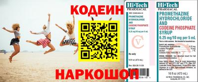 тгк Кингисепп