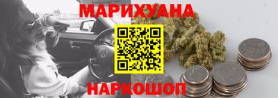 прущие крисы Камышлов