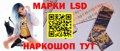 тгк Кингисепп