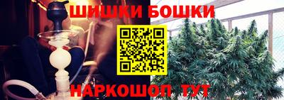 тгк Кингисепп