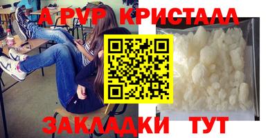 тгк Кингисепп
