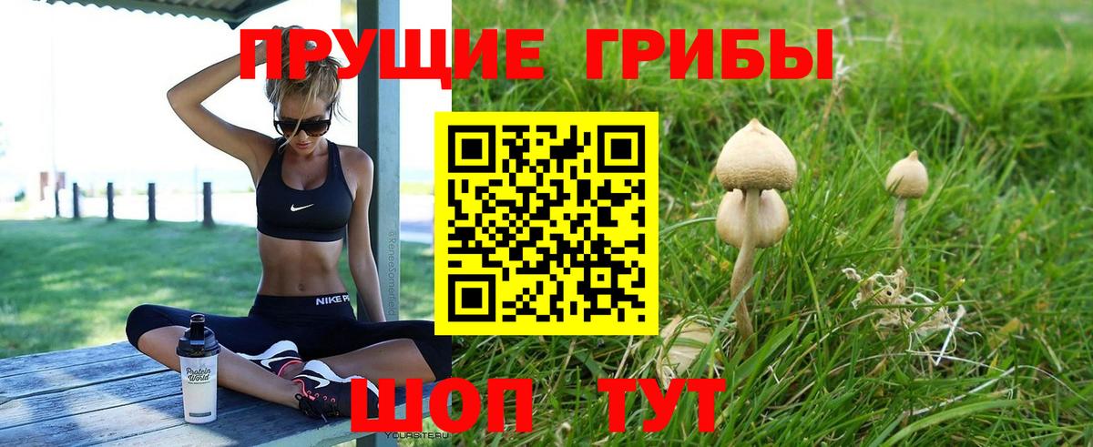 Черняховск  Галлюциногенные грибы мицелий  Вход с VPN 